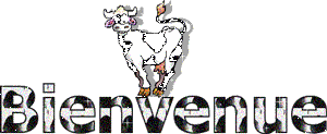 Gif animé bienvenue vache